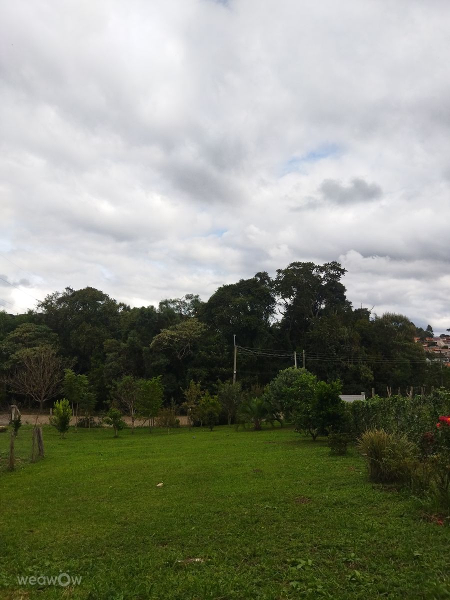 Weather Photos in Campo Largo. Weather forecasts with beautiful photos by ricotrevisan