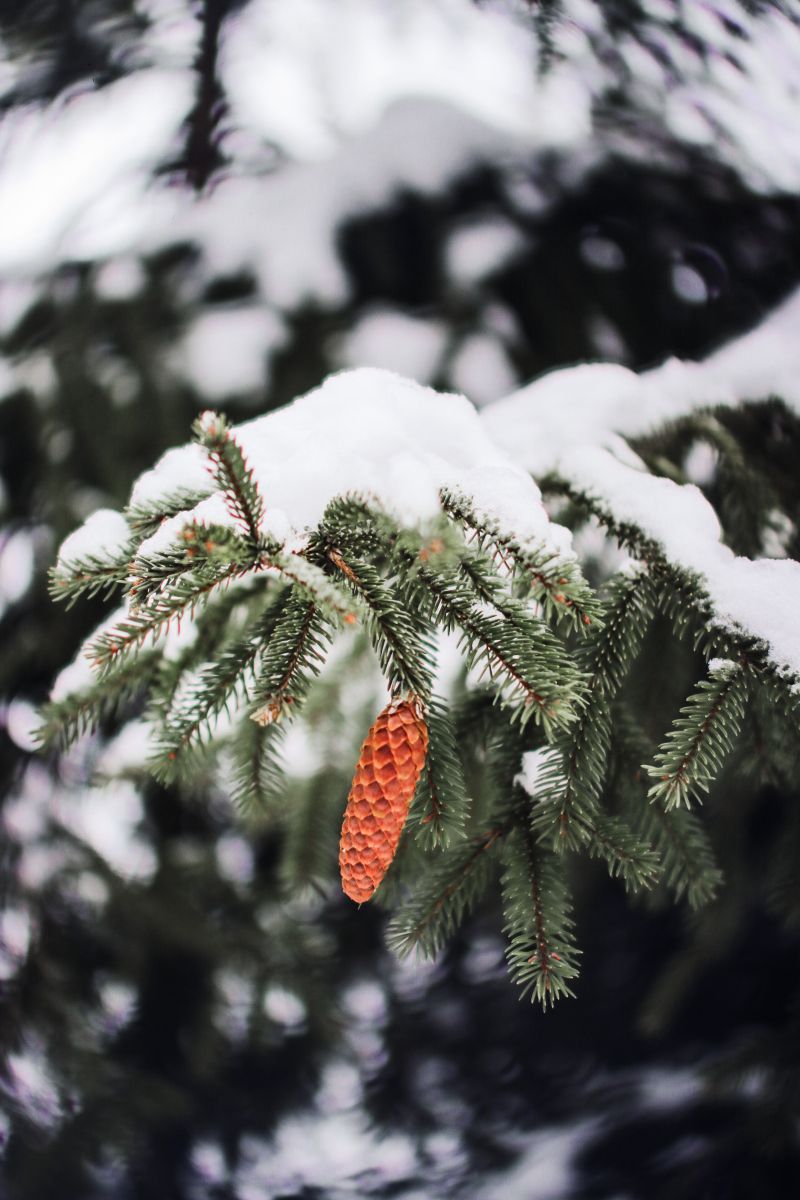 カウナス郡の天気写真. ShutterGirlの美しい写真による天気予報