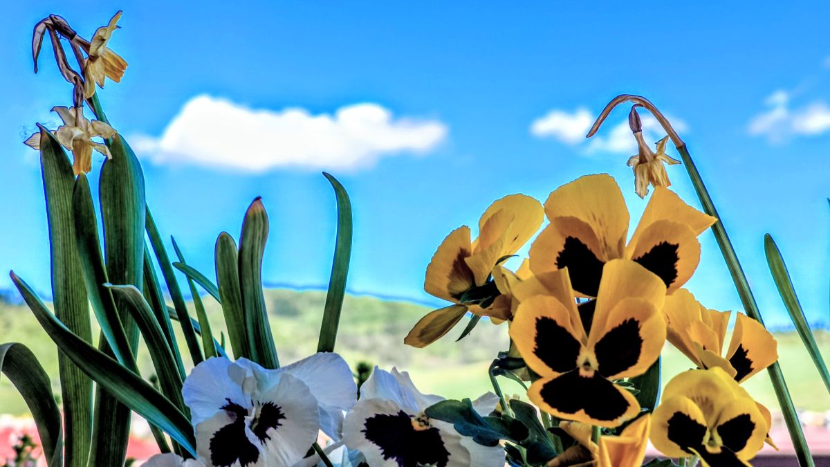 Fotos sobre el clima en Lipany. Pronósticos del tiempo con hermosas fotos de erik76b
