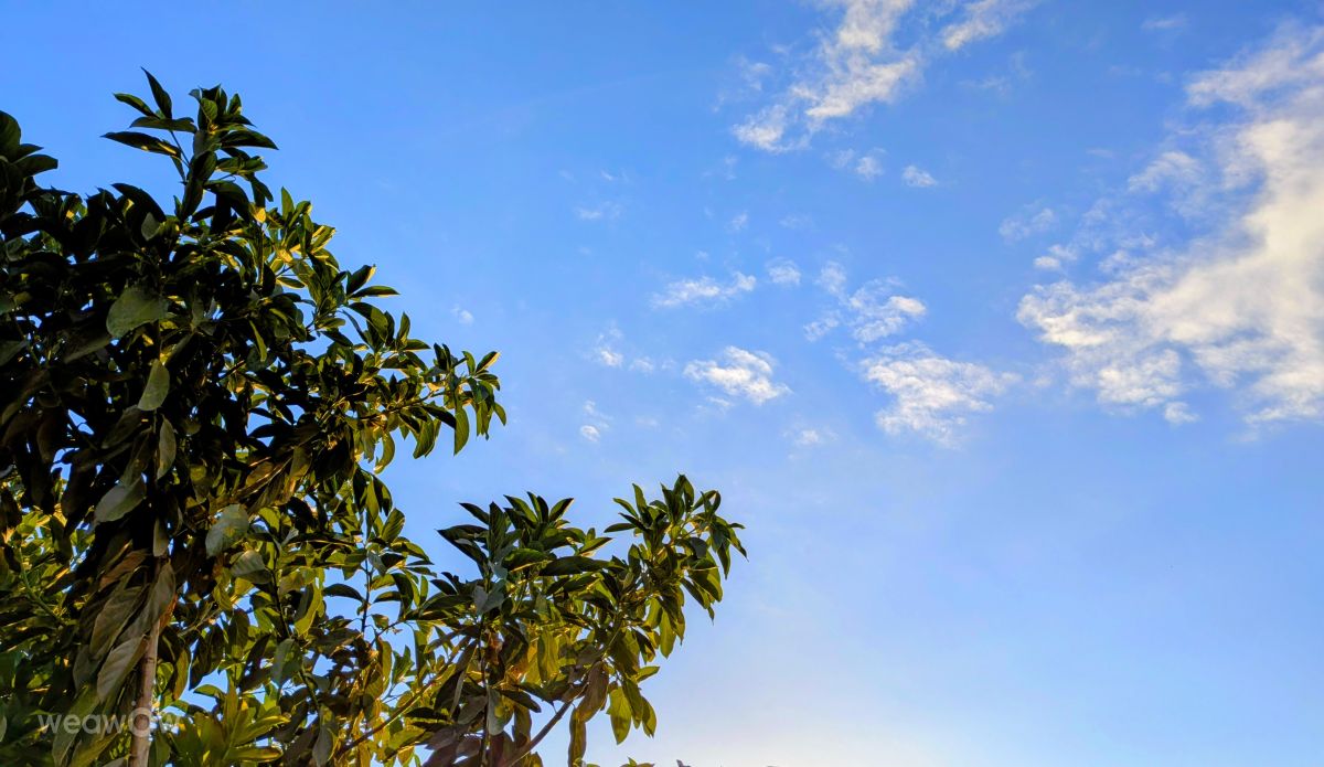 Weather Photos in French Polynesia. Weather forecasts with beautiful photos by Teuira