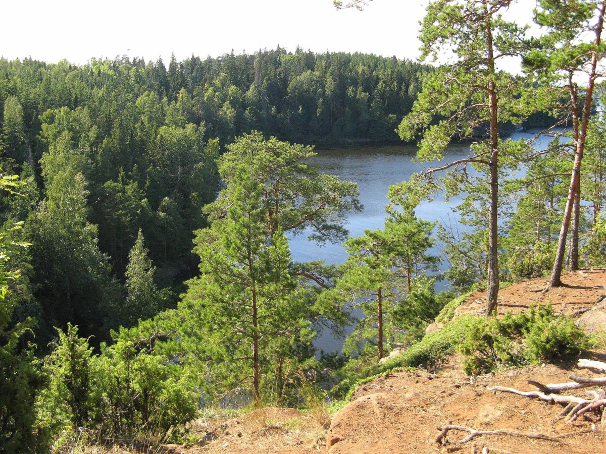 Fotos sobre el clima en Republic of Karelia. Pronósticos del tiempo con hermosas fotos de 19Lora46