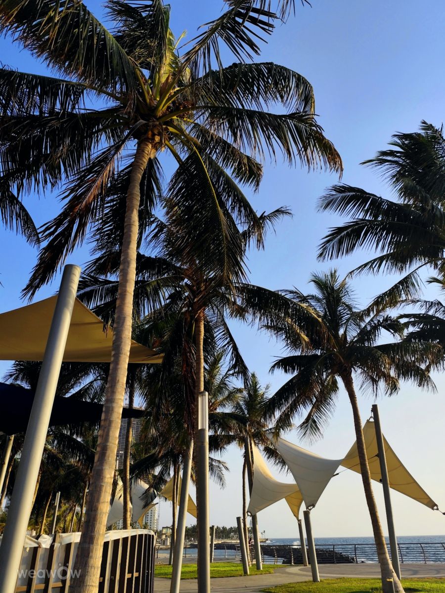 Wettervorhersagen mit schönen Fotos von W20_Studio