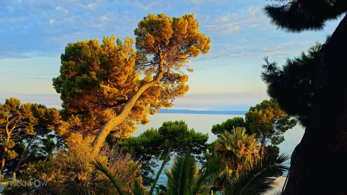 Weather forecasts with beautiful photos by MR