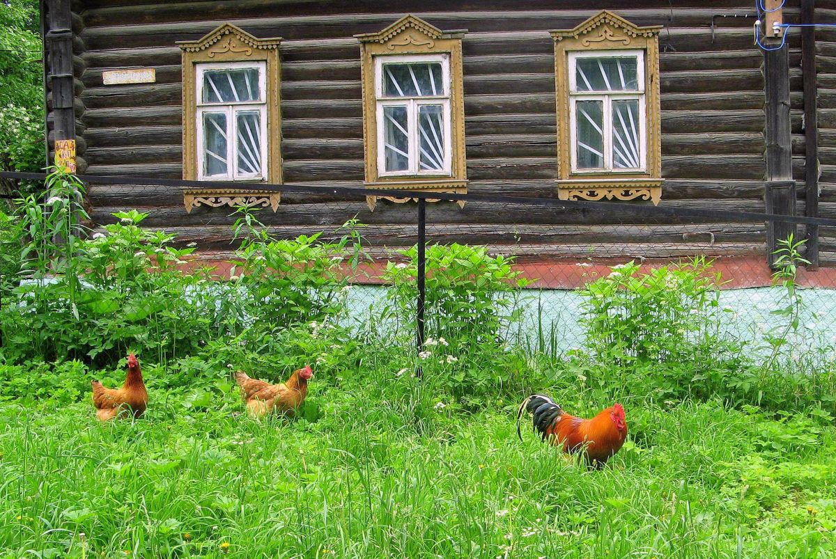 Фотографии Погоды в Таруса. Прогнозы погоды с чудесными фотографиями, сделанными 19Larisa46