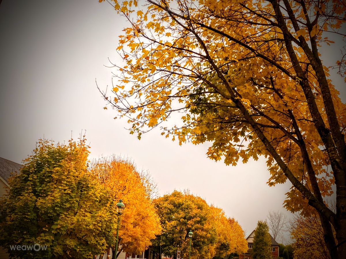 Fotógrafo Lulu5523, Fotos sobre el clima en le Plateau - Weawow