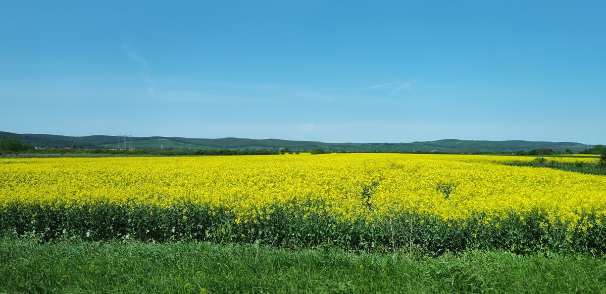 Weather Photos in Bihor. Weather forecasts with beautiful photos by AnamariaDM