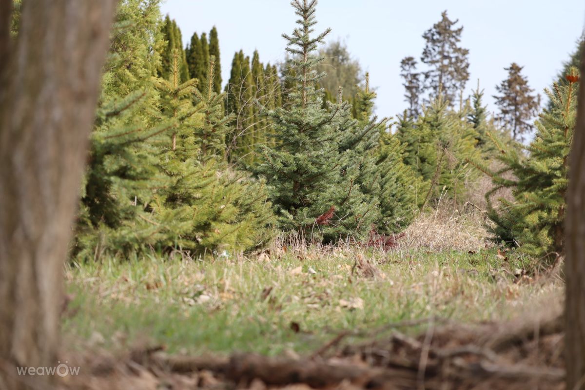 Фотографии Погоды в Поморие. Прогнозы погоды с чудесными фотографиями, сделанными Raq_Valeriq