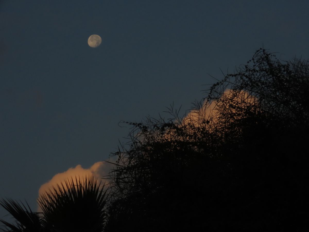 Hình ảnh Thời tiết ở Northern District. Dự báo thời tiết với những bức ảnh đẹp của Sviatoslav