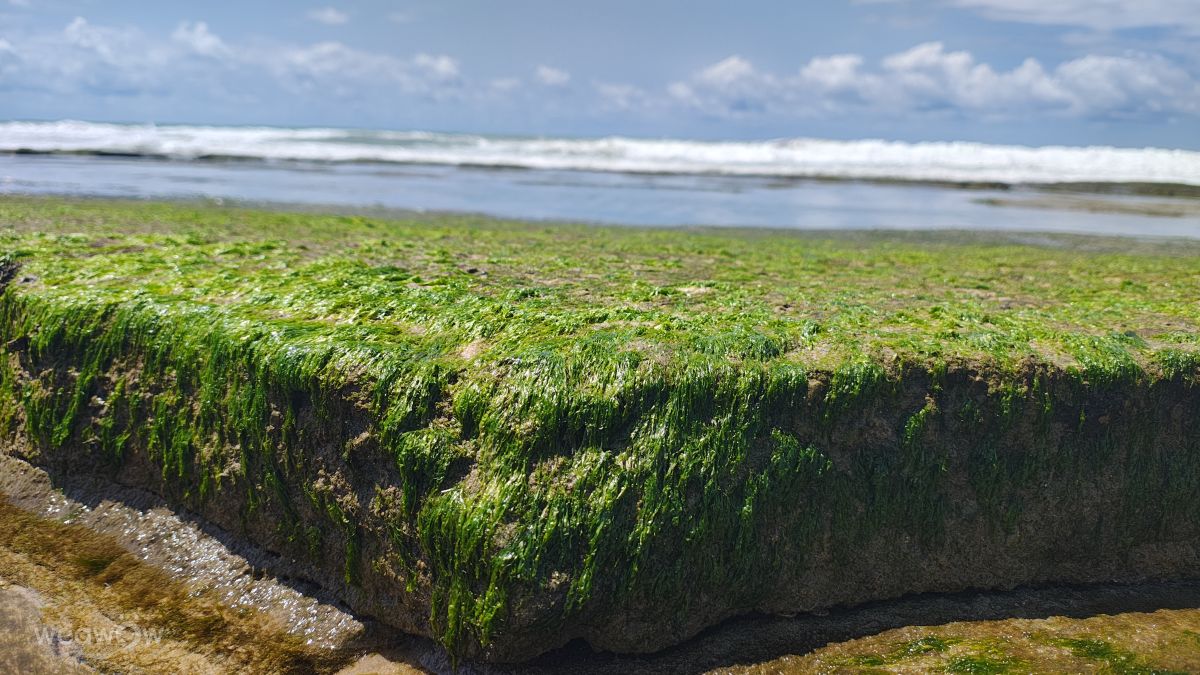 Fotos sobre el clima en Brasil. Pronósticos del tiempo con hermosas fotos de ASGuandalin