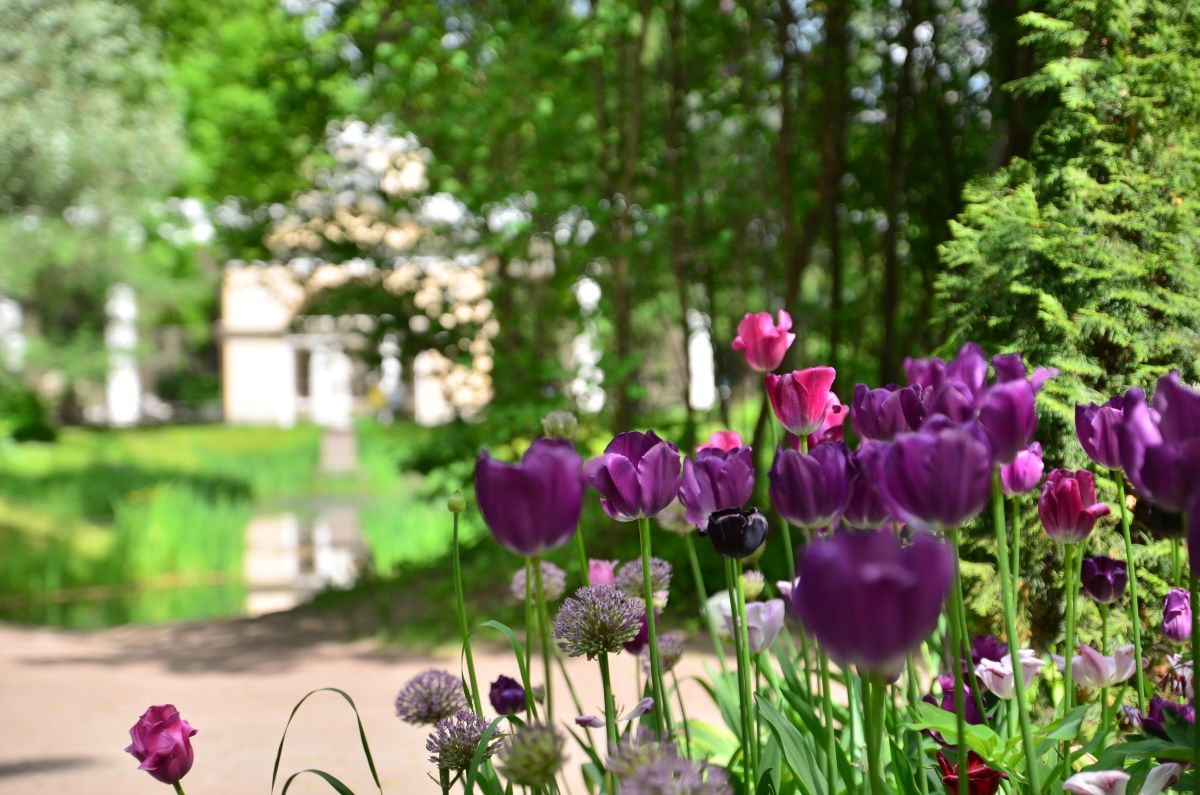 Фотографии Погоды в Санкт-Петербург. Прогнозы погоды с чудесными фотографиями, сделанными Andrey72
