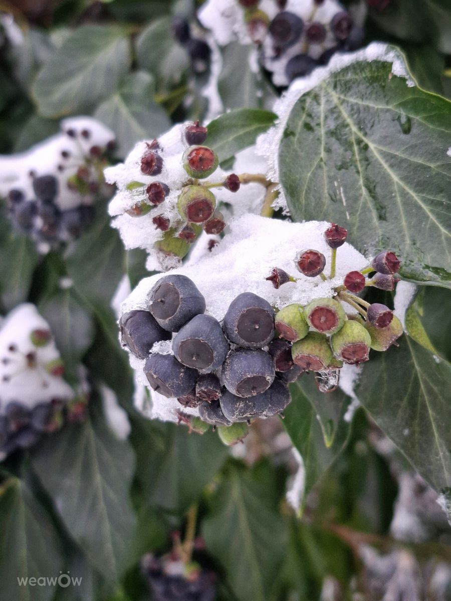 Weather Photos in Serbia. Weather forecasts with beautiful photos by Aleksandar