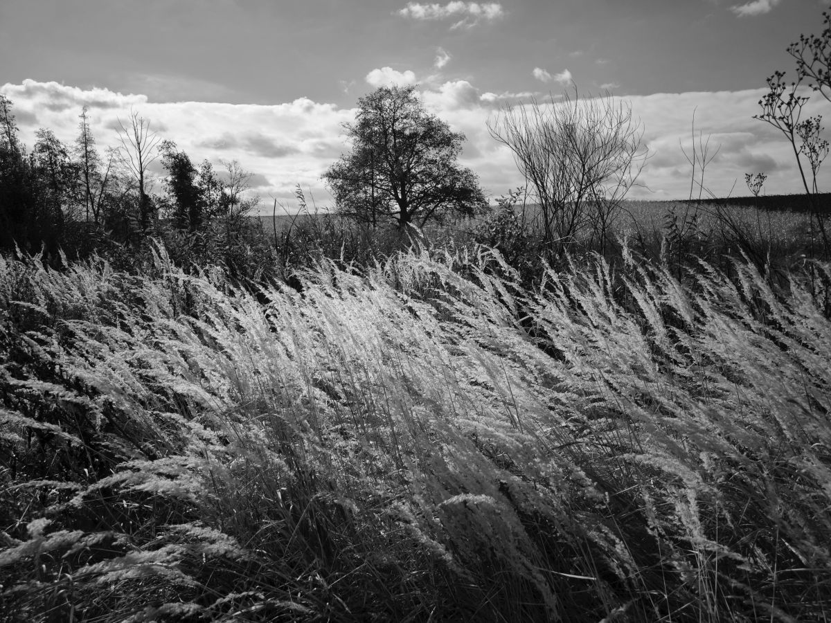 Fotos do tempo em Vinnytsia. Previsões do tempo com lindas fotos de Archery_0112