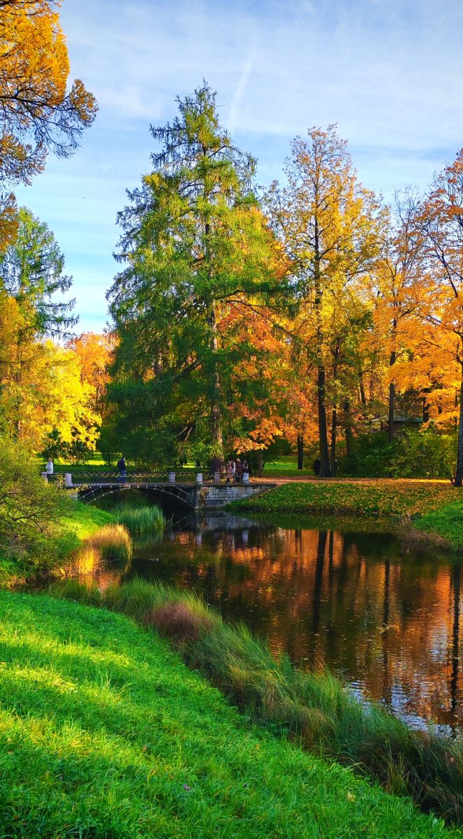 Photos météo à Saint-Pétersbourg. Prévisions météo avec de superbes photos de Elena55