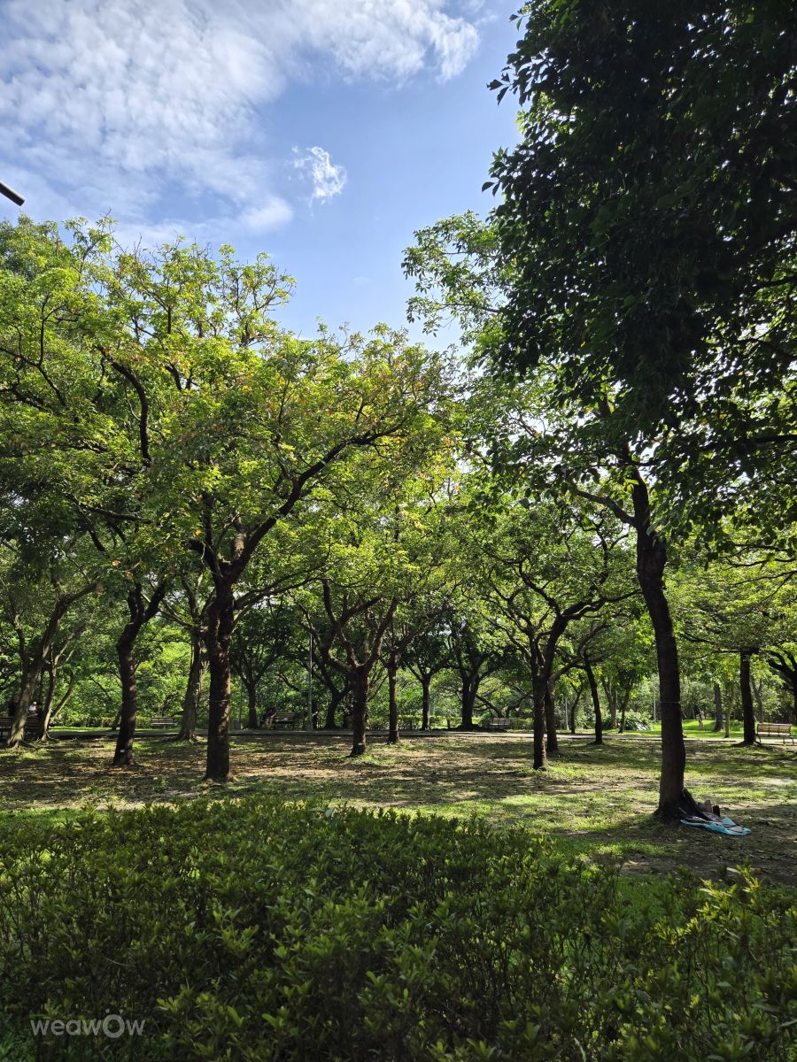 Weather Photos in Taiwan. Weather forecasts with beautiful photos by inksoothe