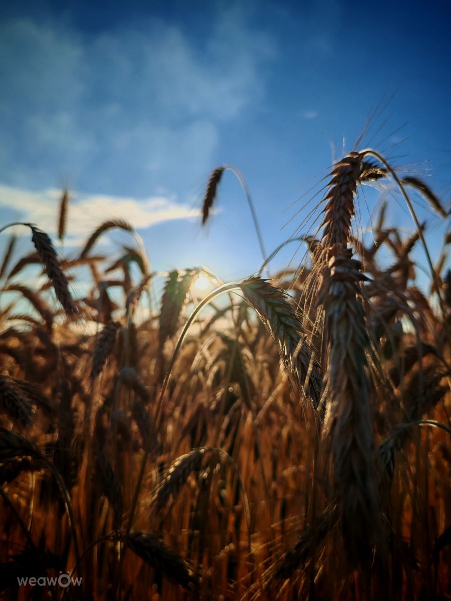 Weather Photos in Zhlobin. Weather forecasts with beautiful photos by Ennoia