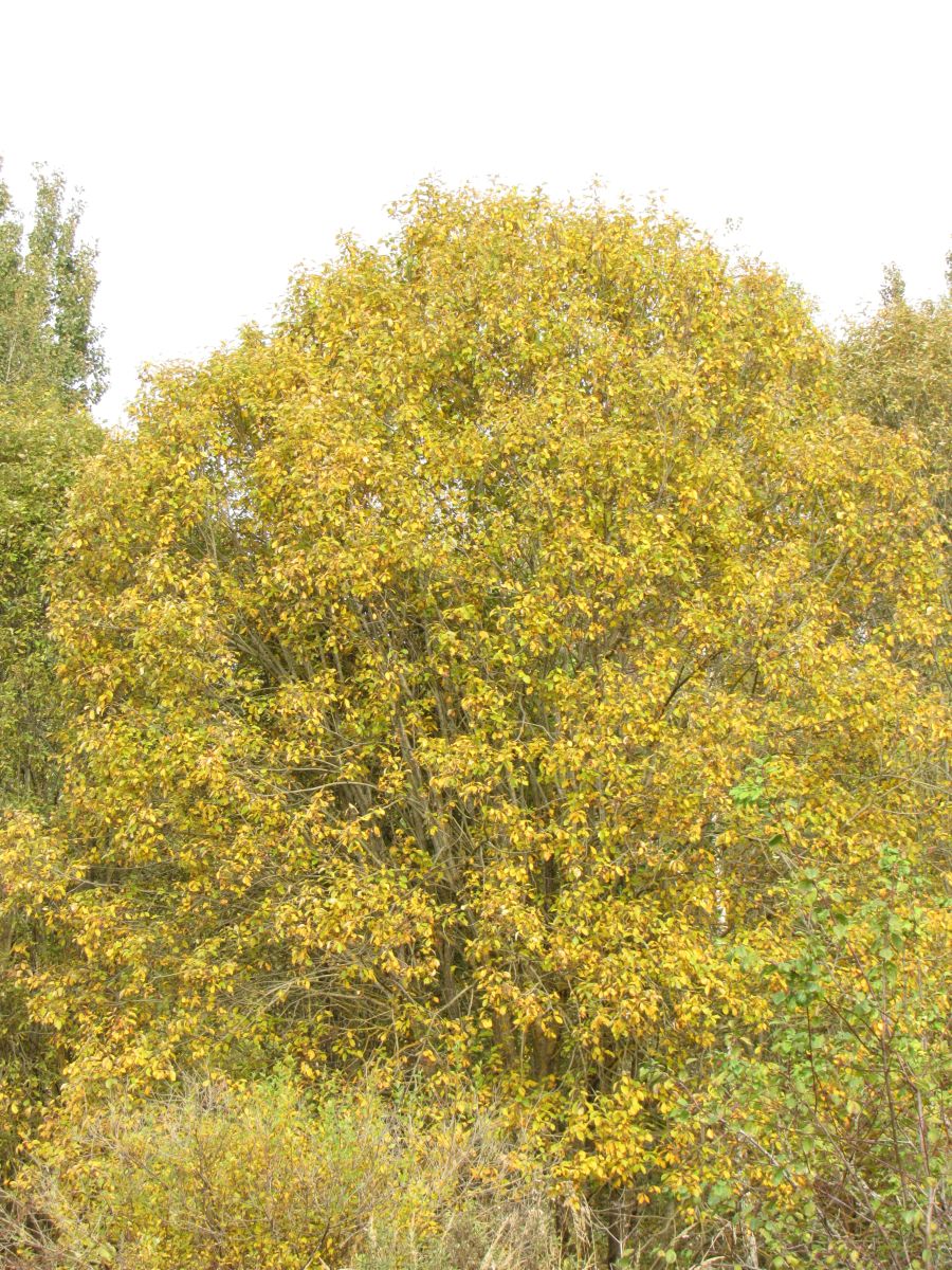 Fotos do tempo em Vitebsk. Previsões do tempo com lindas fotos de ЩипинЕвгений
