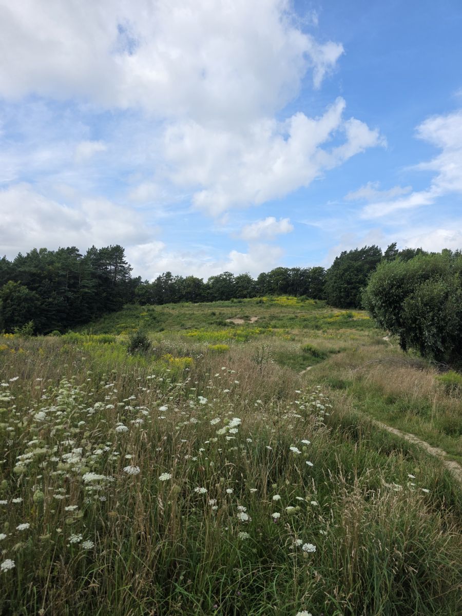 写真家 xPrzybyLx、Karwinyの天気写真 - Weawow