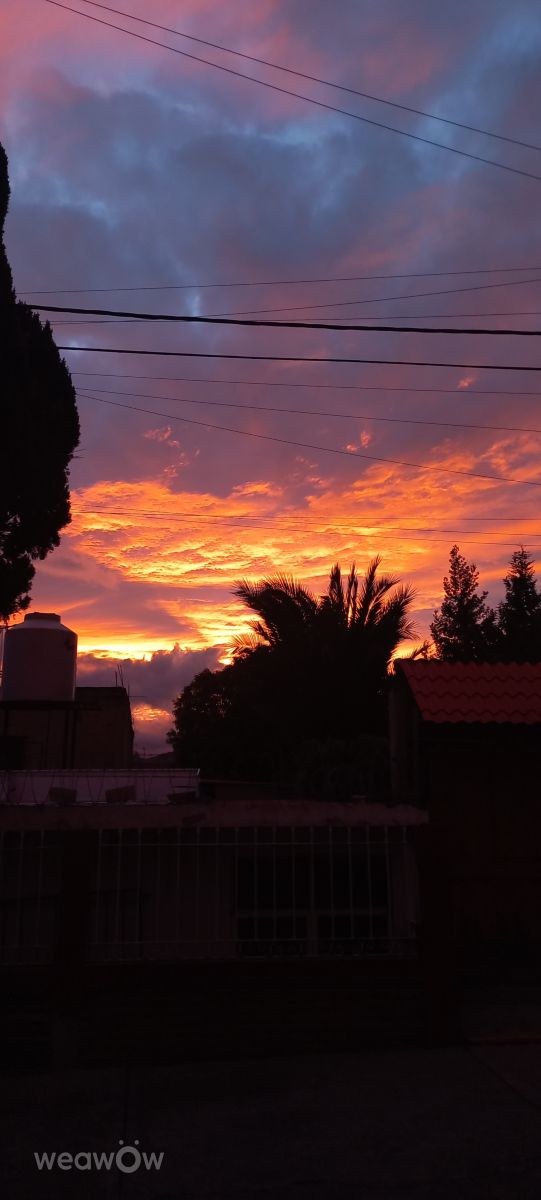 Wetter Photos Ciudad López Mateos. Wettervorhersagen mit schönen Fotos von Correa Martinez