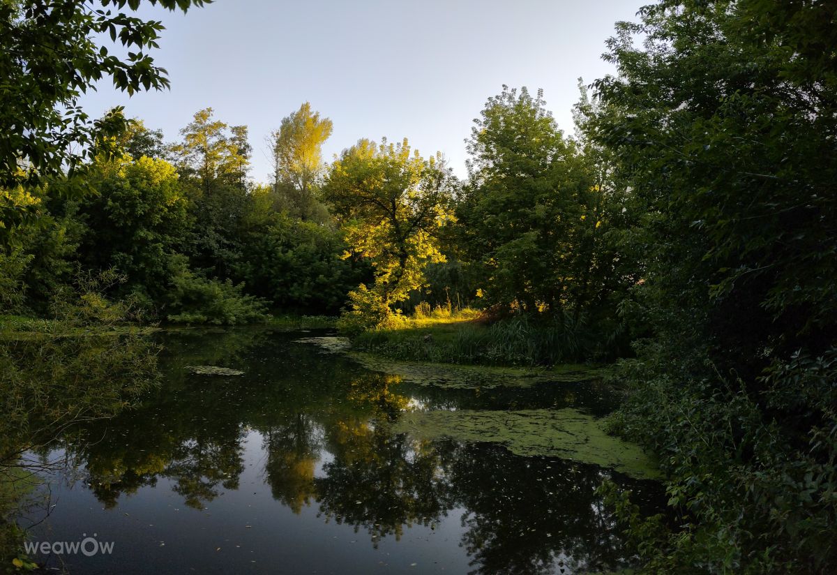 Weather Photos in Kyiv. Weather forecasts with beautiful photos by DarthVaider88