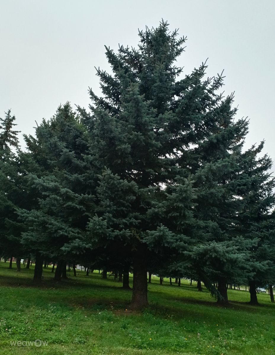 Фотографии Погоды в Ломжа. Прогнозы погоды с чудесными фотографиями, сделанными Ania-12