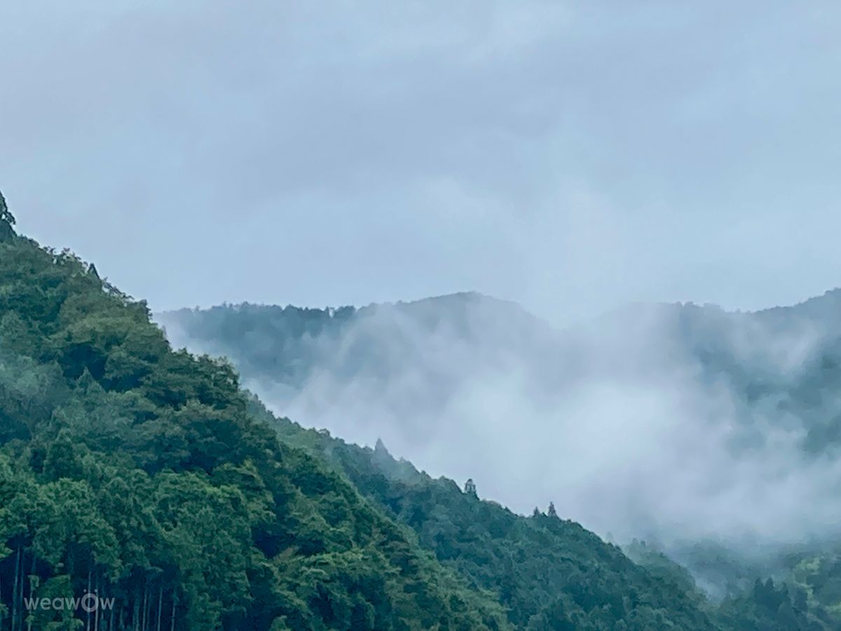 Weather Photos in Gifu. Weather forecasts with beautiful photos by Aya_Kiefer