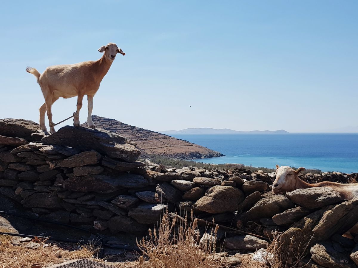Wetter Photos Tínos. Wettervorhersagen mit schönen Fotos von gpapargyris