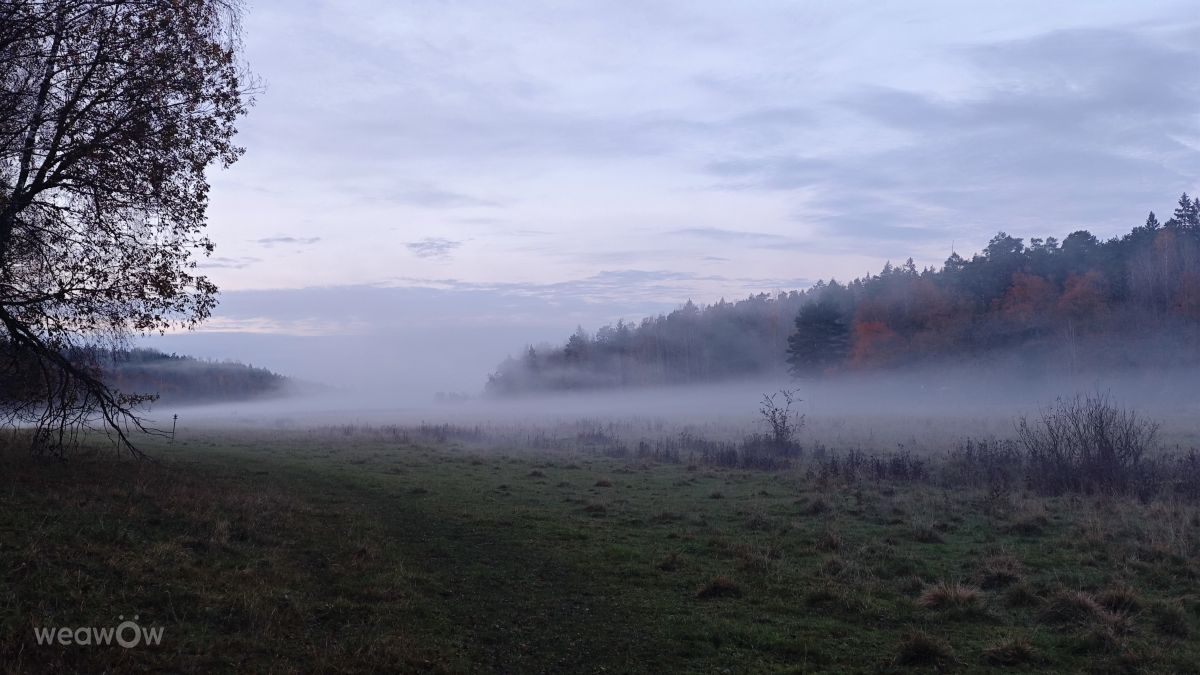 Photographer uppsalaunge, Weather Photos in Hågadalen-Nåsten - Weawow