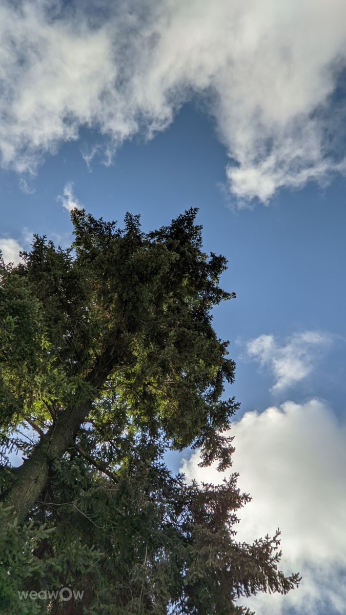 Ñuble的天气照片. 天气预报，带Mario_15精美的照片