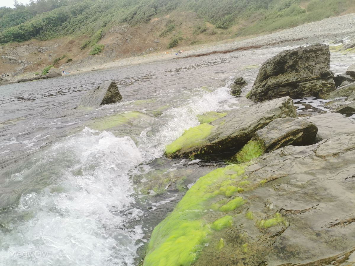 摄影师 NikolayPaunchev，Синеморец的天气照片 - Weawow