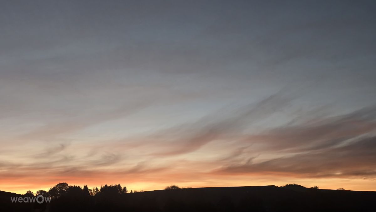 Photographer Neonchen, Weather Photos in Sankt Wendel - Weawow