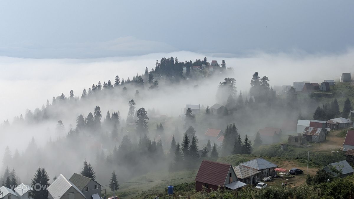 Weather forecasts with beautiful photos by TrishAme