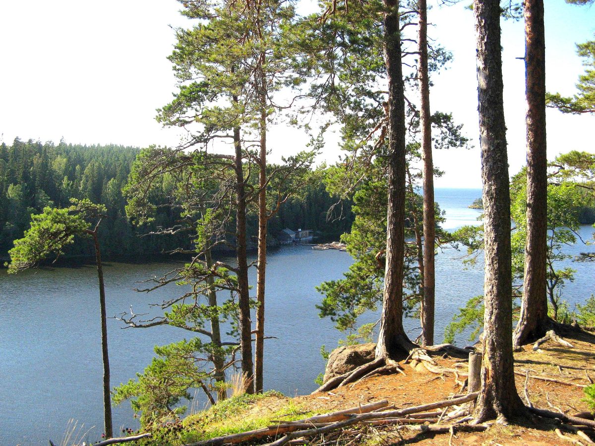 Fotos sobre el clima en Republic of Karelia. Pronósticos del tiempo con hermosas fotos de 19Lora46