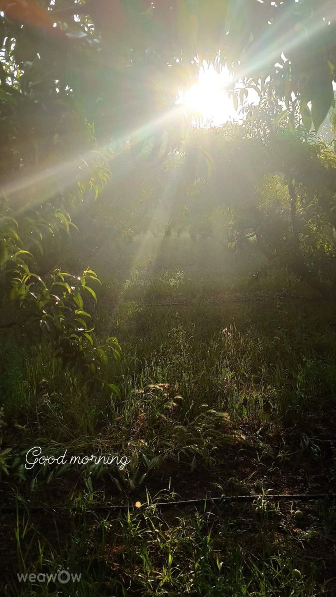 Edessaの天気写真. Helena_Nanouの美しい写真による天気予報