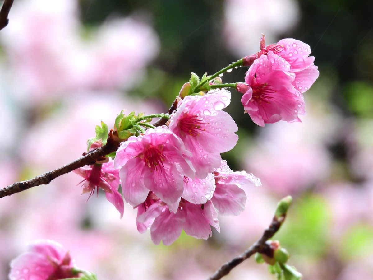 Weather Photos in Hong Kong. Weather forecasts with beautiful photos by Ensign_Lau