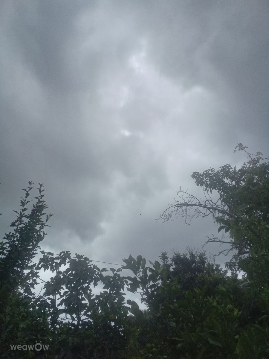 Weather Photos in Grand Bourg. Weather forecasts with beautiful photos by GabyOdre