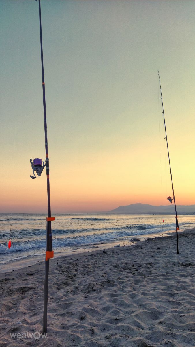 Weather Photos in Marbella. Weather forecasts with beautiful photos by ElCatorce