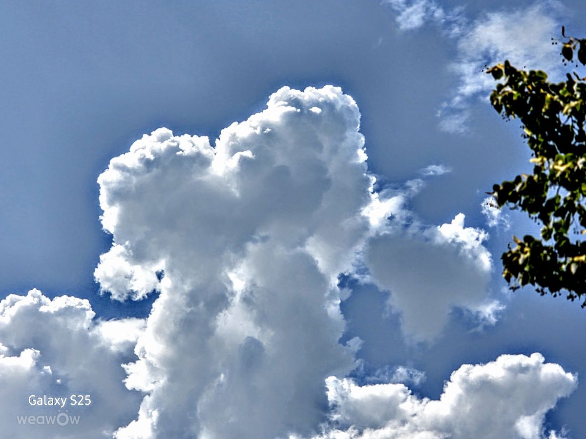 Weather Photos in Switzerland. Weather forecasts with beautiful photos by HALTI