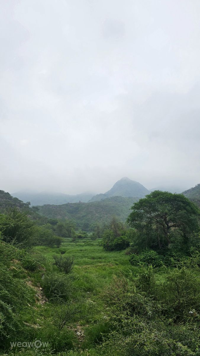 Wetter Photos Saudi-Arabien. Wettervorhersagen mit schönen Fotos von Abdullah88
