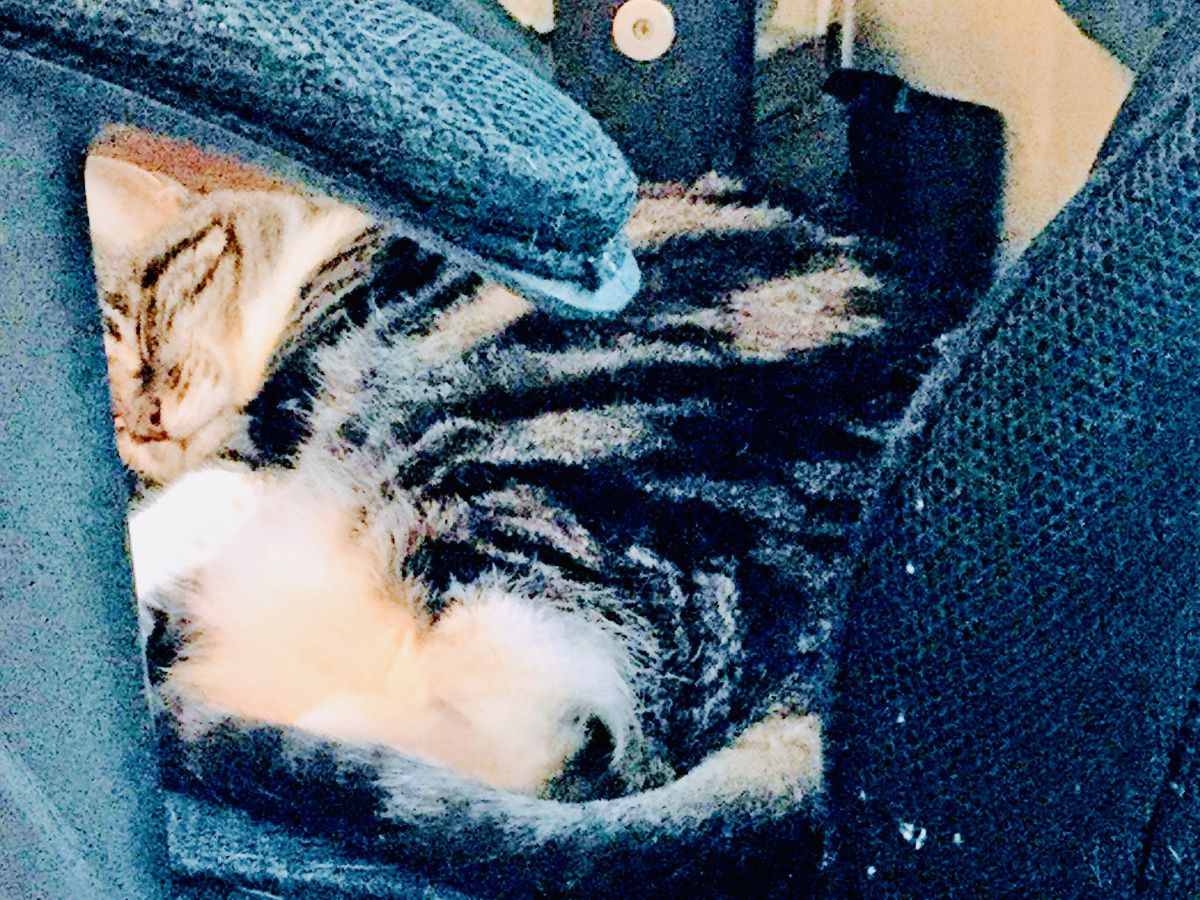 摄影师 Cajungrl26，LaPlace的天气照片 - Weawow