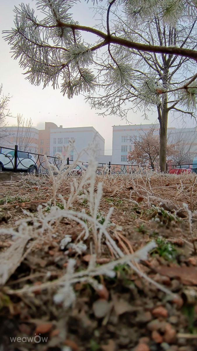 Kyiv City的天气照片. 天气预报，带asasela精美的照片