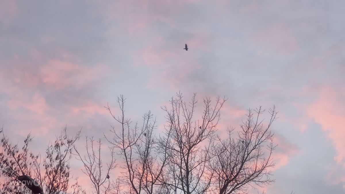 Hình ảnh Thời tiết ở Hungary. Dự báo thời tiết với những bức ảnh đẹp của Dorottya Jez