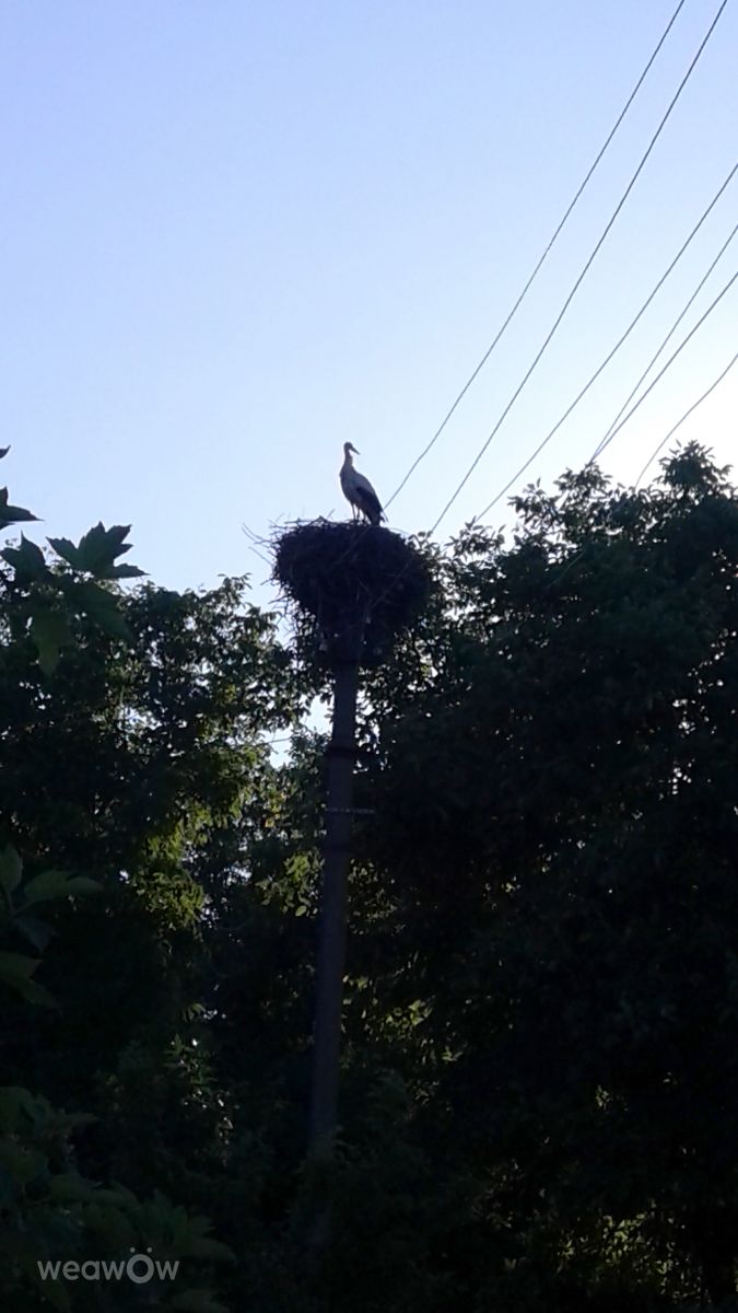 Photographer urashm, Weather Photos in Khmelnytskyi - Weawow