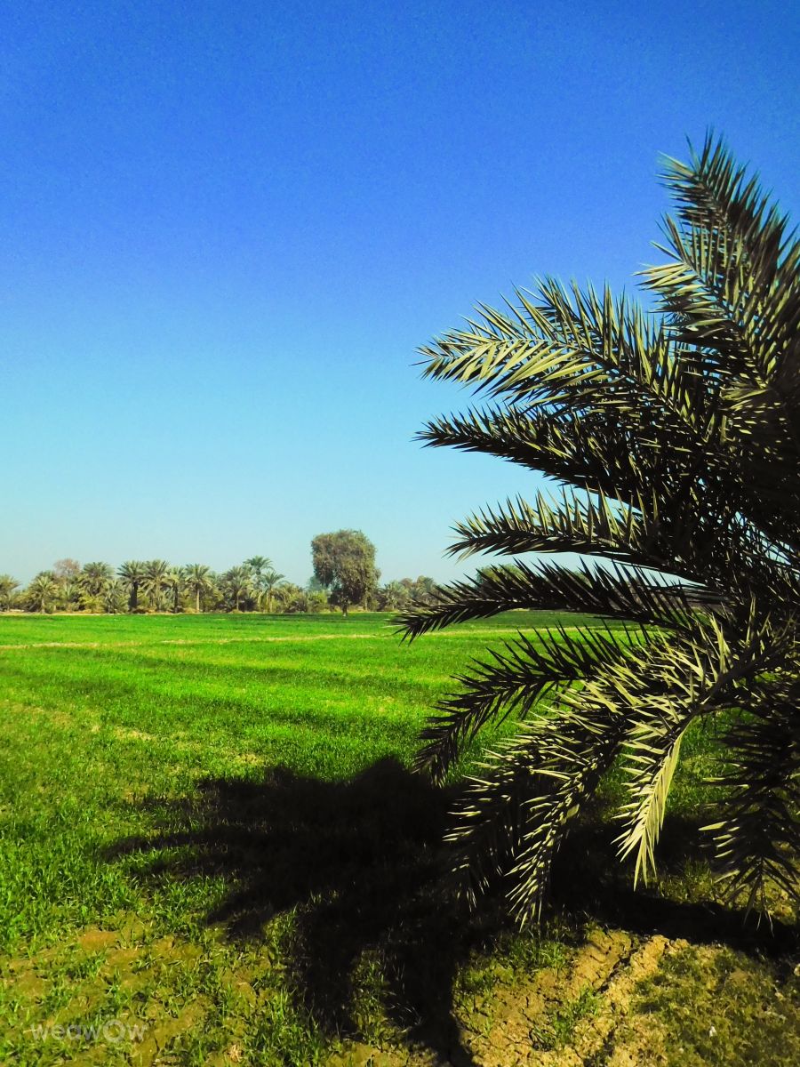 Weather Photos in Pakistan. Weather forecasts with beautiful photos by Yousuf