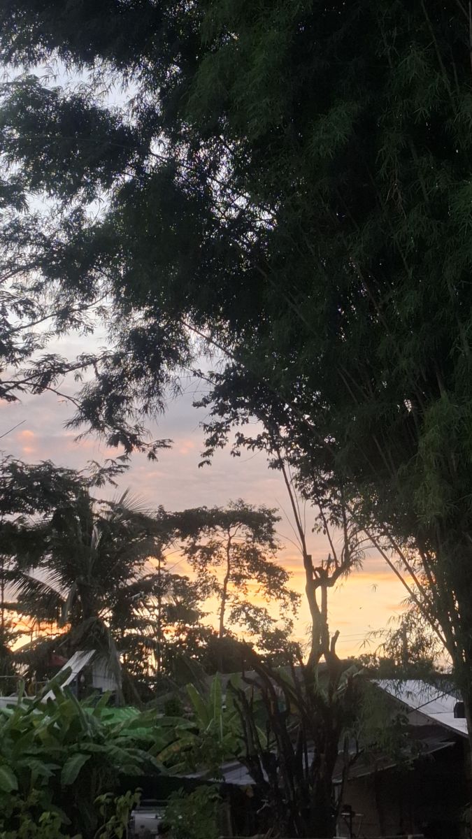 Weather Photos in Thailand. Weather forecasts with beautiful photos by Carl Manchester