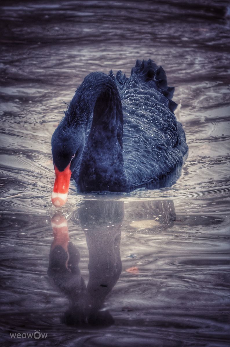 Photographer Lotti5507, Weather Photos in Bahnhof Dortmund-Brackel - Weawow