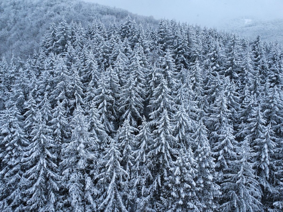 Фотографии Погоды в Pravets. Прогнозы погоды с чудесными фотографиями, сделанными Vaskoy7