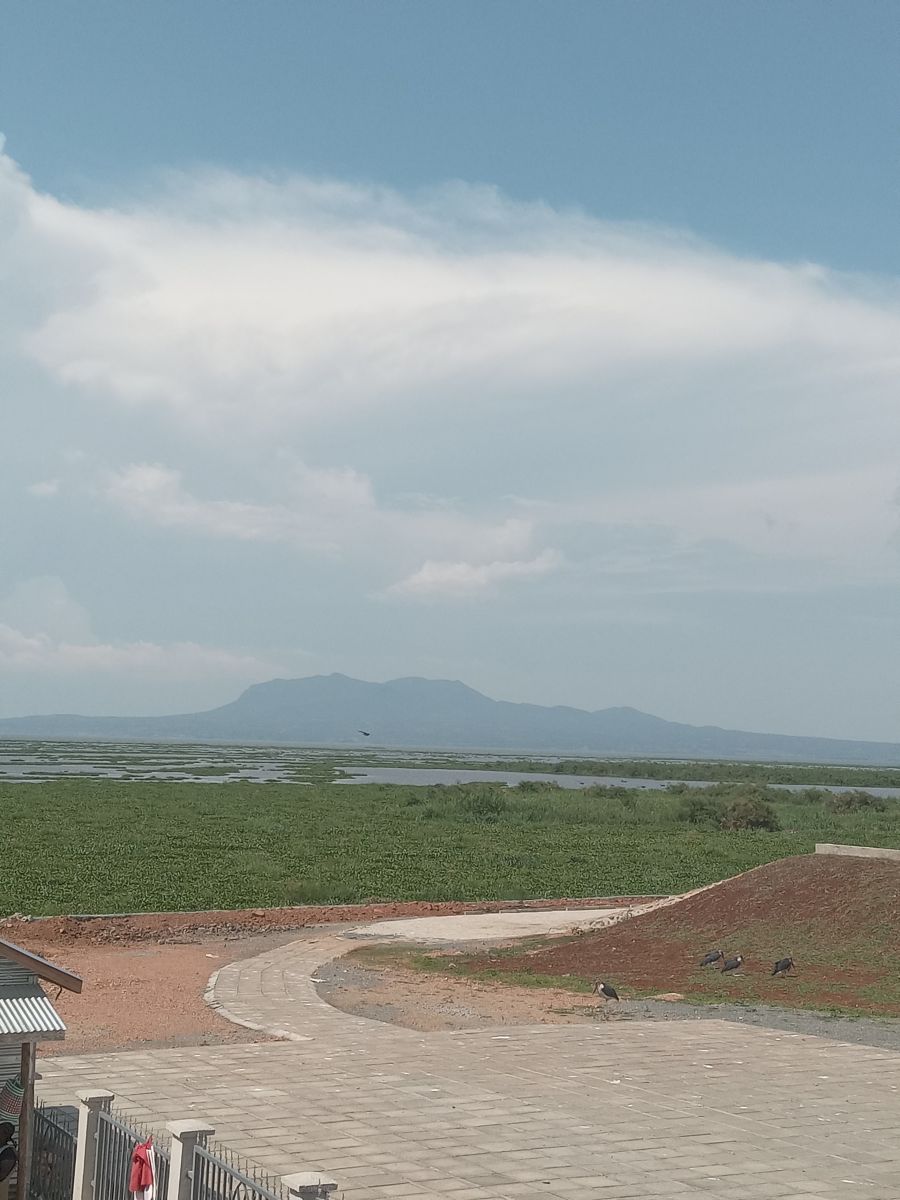 Fotos do tempo em Quênia. Previsões do tempo com lindas fotos de 41730108105