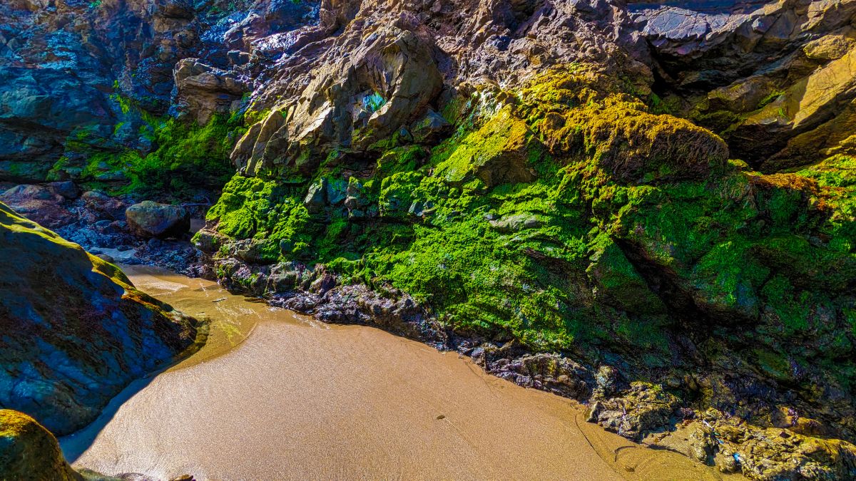 摄影师 CourtT，Fort Bragg的天气照片 - Weawow