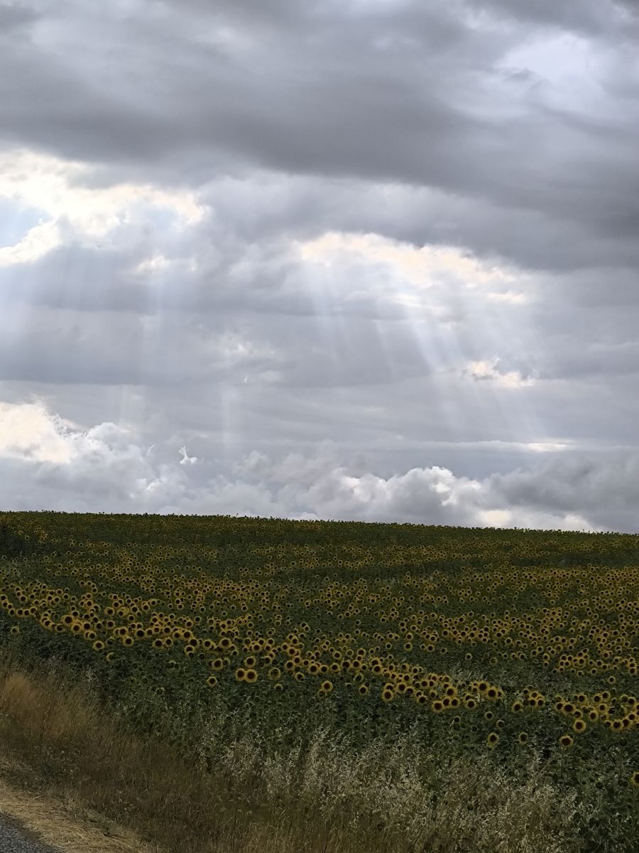 Cankatの美しい写真による天気予報