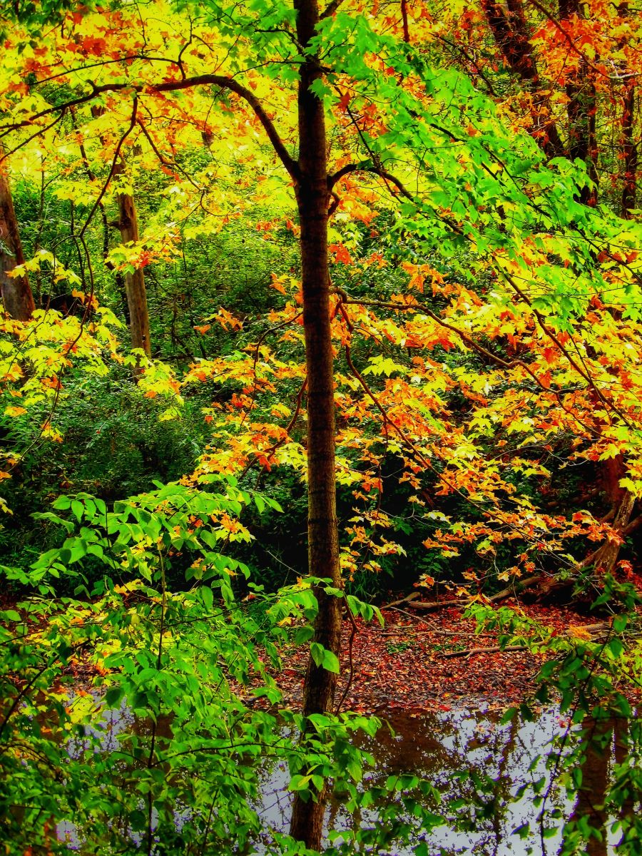 Photos météo à Greenfield. Prévisions météo avec de superbes photos de Traci-McD